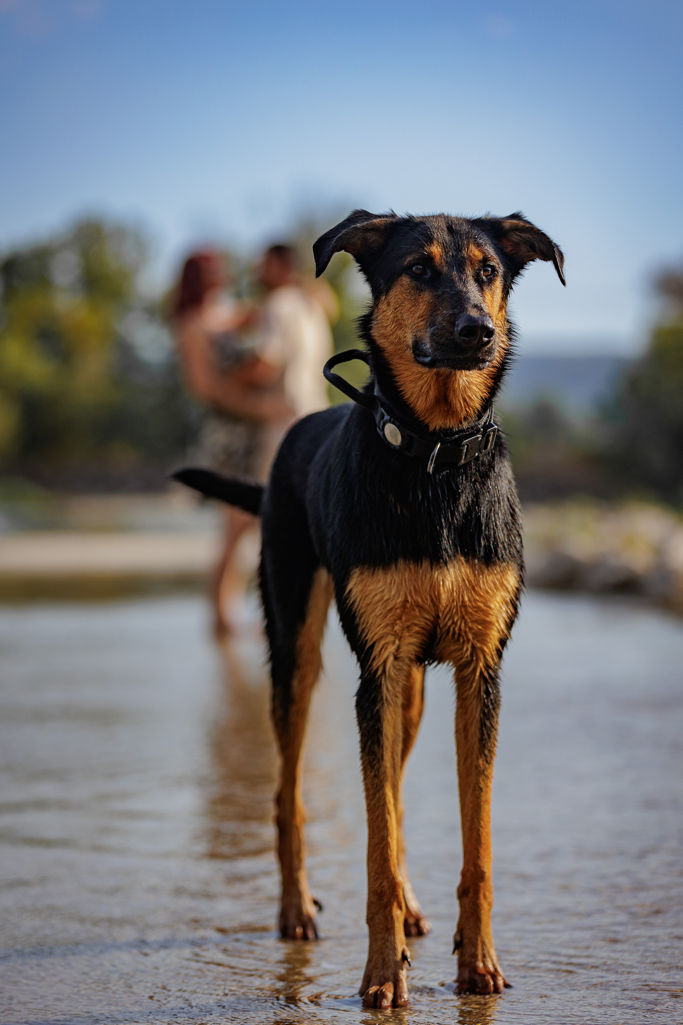 Portrait Extérieur 7
