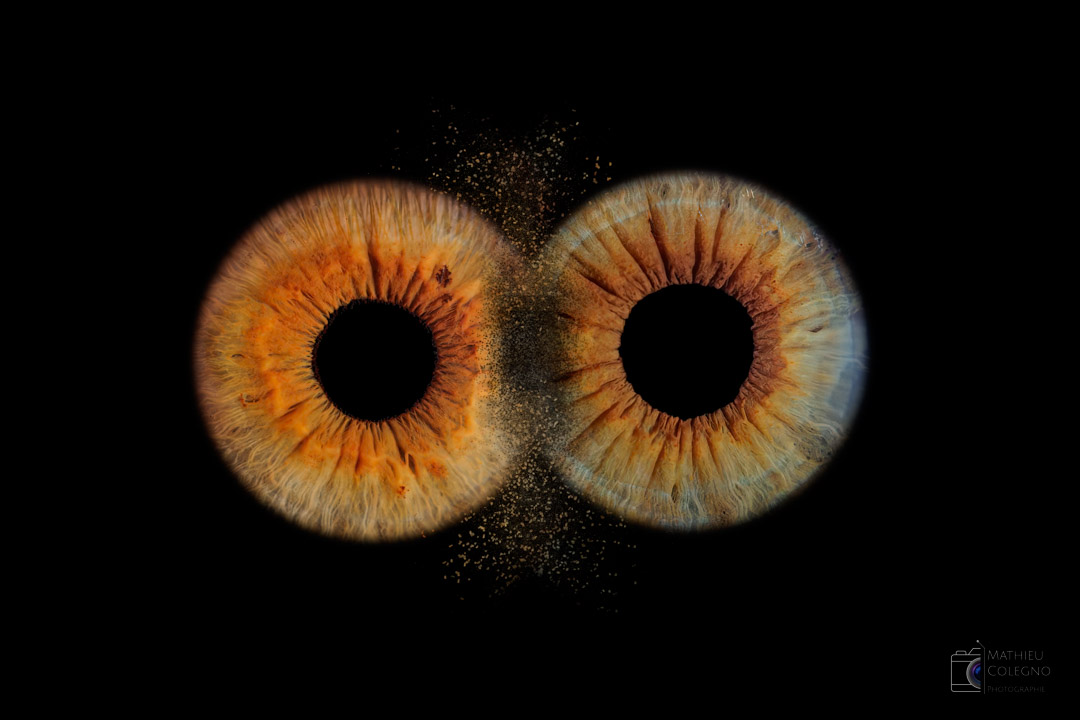 Photo Iris